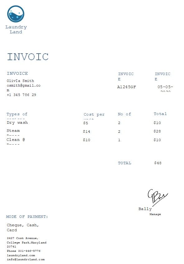 Free Laundry Invoice Template PSD template